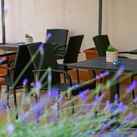 Alghero Noon 部屋 写真