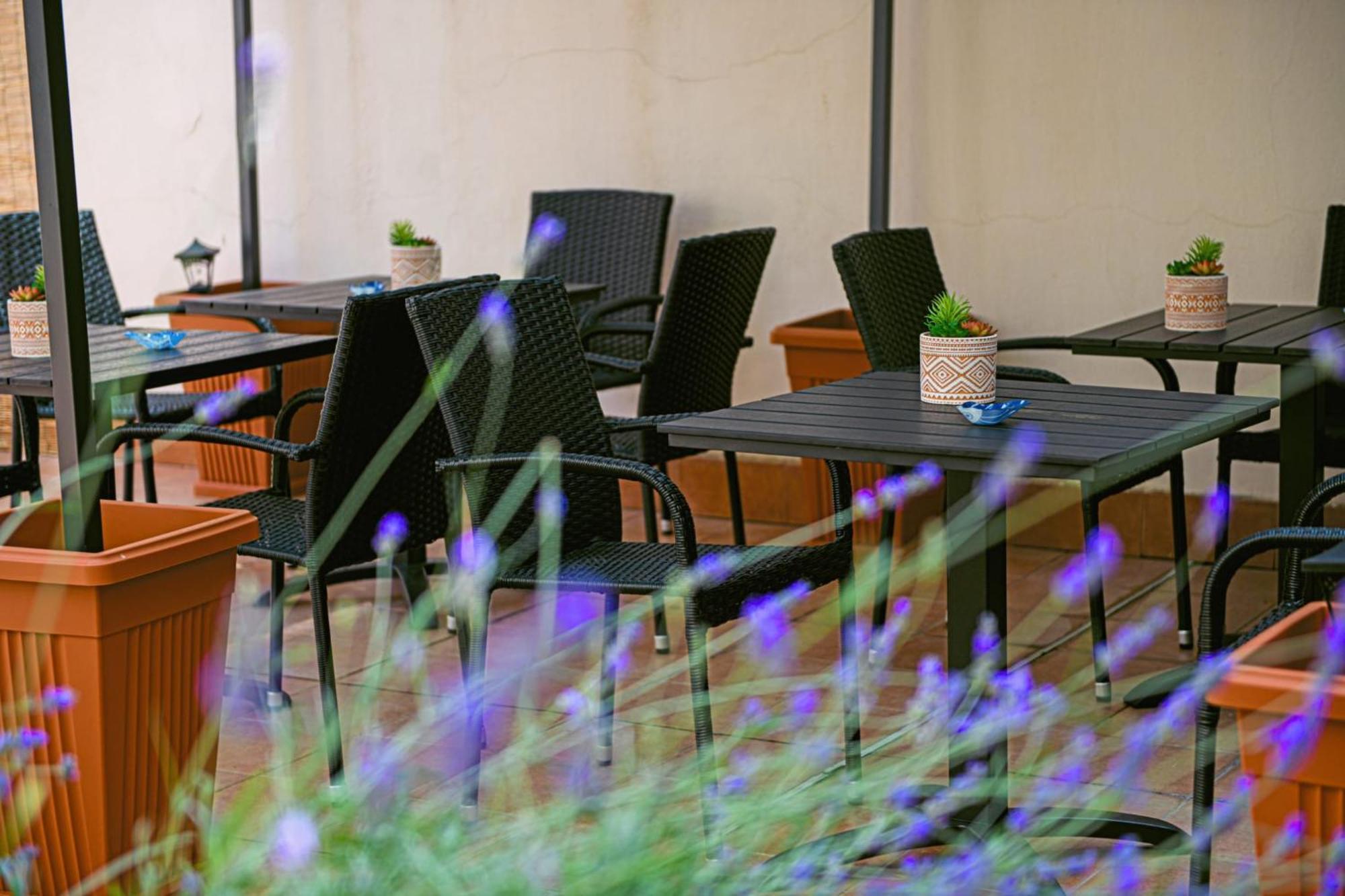 Alghero Noon 部屋 写真
